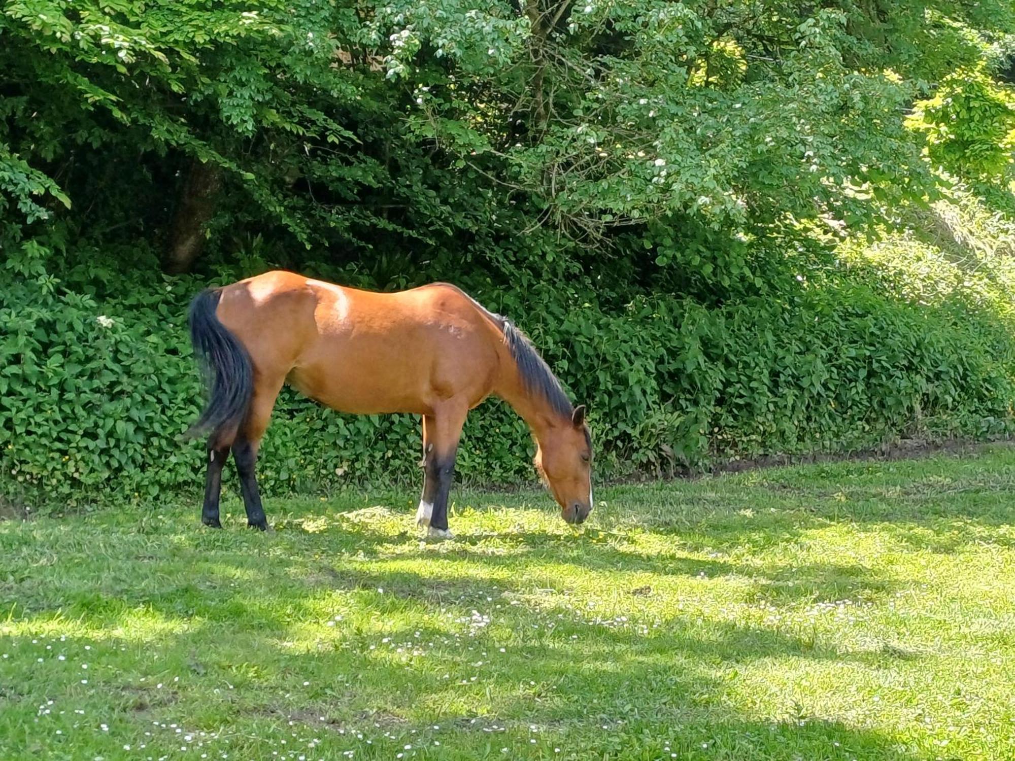 D'exception Dans Le Chateau De Lacypierre